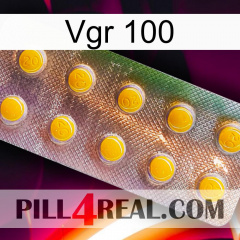Vgr 100 new11